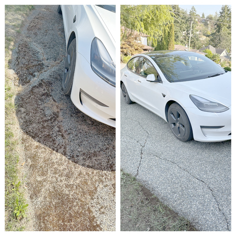 Project before and after