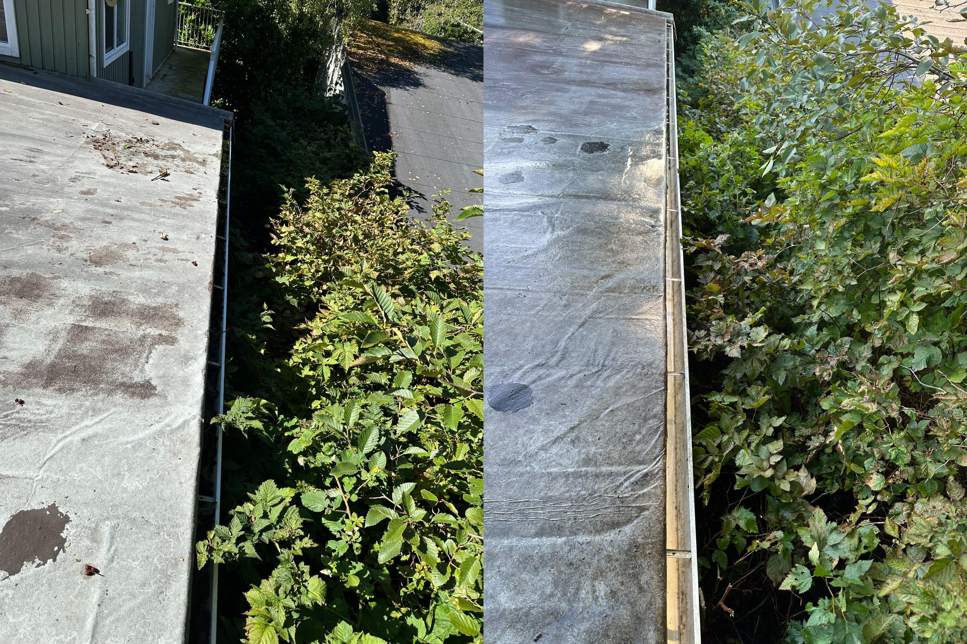 Project before and after