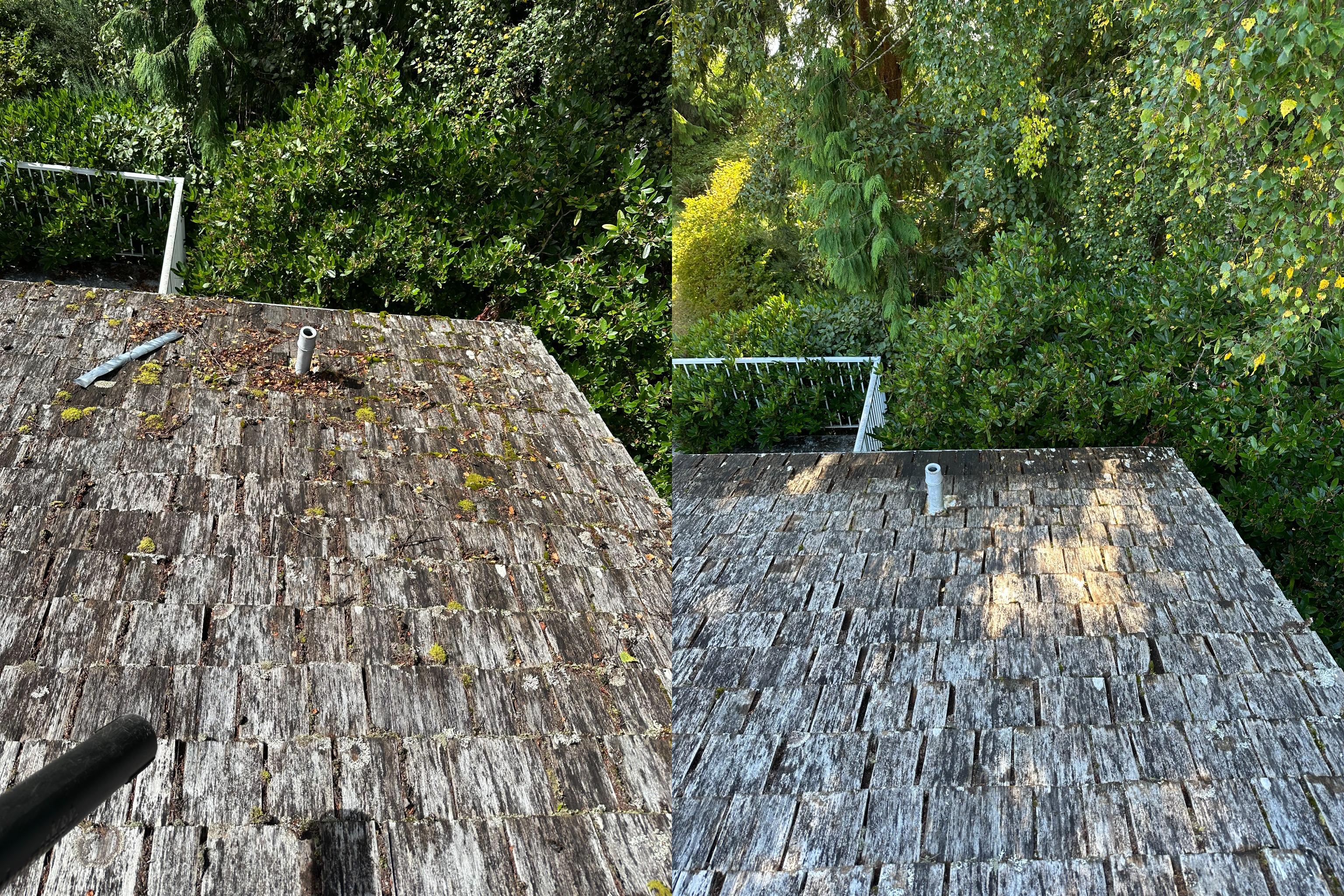 Project before and after
